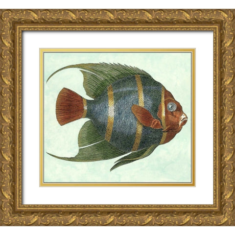 Small Angel Fish I Gold Ornate Wood Framed Art Print with Double Matting by Vision Studio