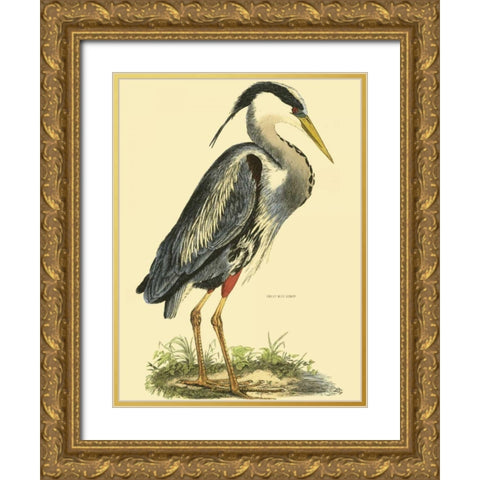 Small Great Blue Heron Gold Ornate Wood Framed Art Print with Double Matting by Selby, John