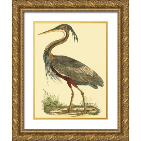 Small Purple Heron Gold Ornate Wood Framed Art Print with Double Matting by Selby, John