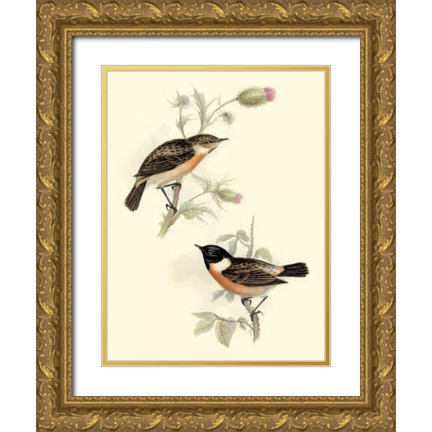 Goulds Stone-chat Gold Ornate Wood Framed Art Print with Double Matting by Gould, John