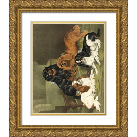 Toy Spaniels Gold Ornate Wood Framed Art Print with Double Matting by Shaw, Vero