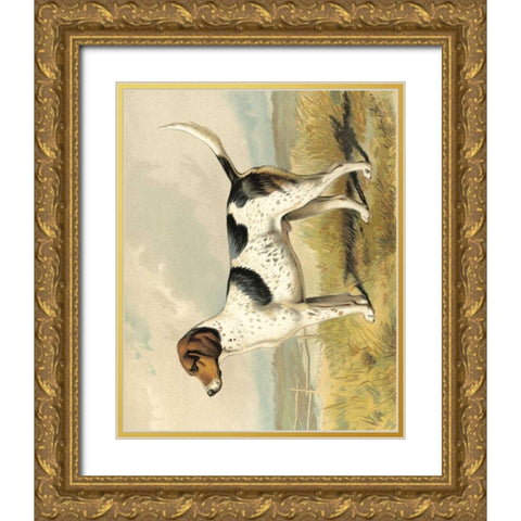 Fox Hound Gold Ornate Wood Framed Art Print with Double Matting by Shaw, Vero
