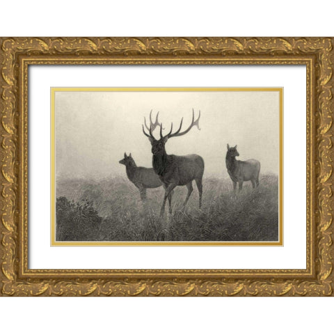 American Elk  Gold Ornate Wood Framed Art Print with Double Matting by Hinshelwood, Robert