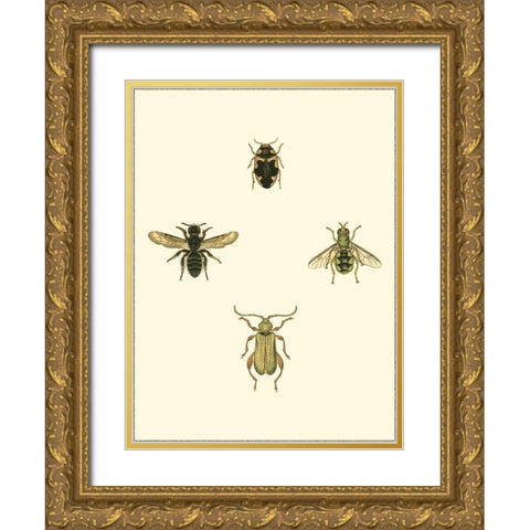 Insecte II Gold Ornate Wood Framed Art Print with Double Matting by Vision Studio