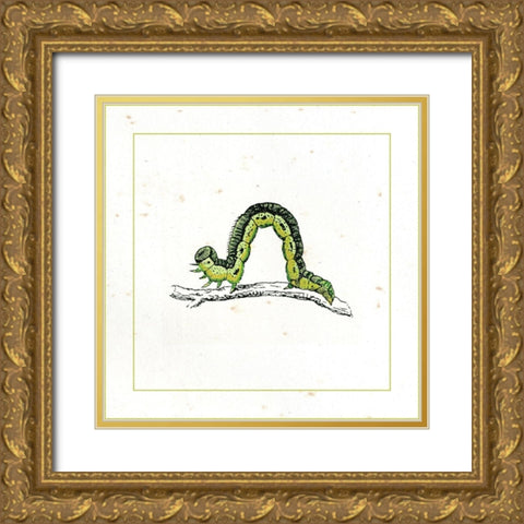 Green Inchworm Gold Ornate Wood Framed Art Print with Double Matting by Vision Studio