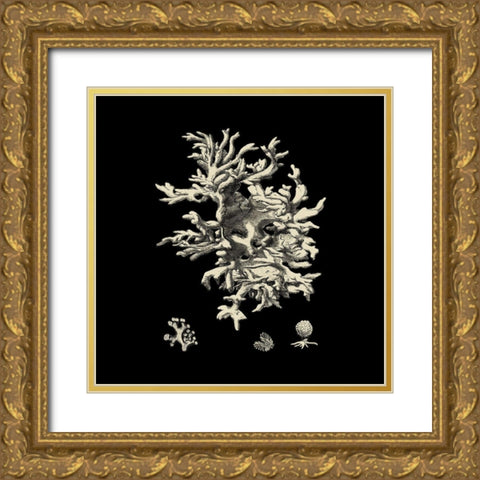 Small Black And Tan Coral III (P) Gold Ornate Wood Framed Art Print with Double Matting by Vision Studio