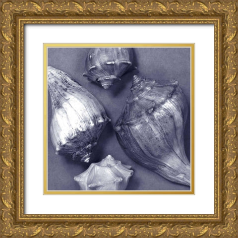 Shell Convergence III Gold Ornate Wood Framed Art Print with Double Matting by Stramel, Renee W.