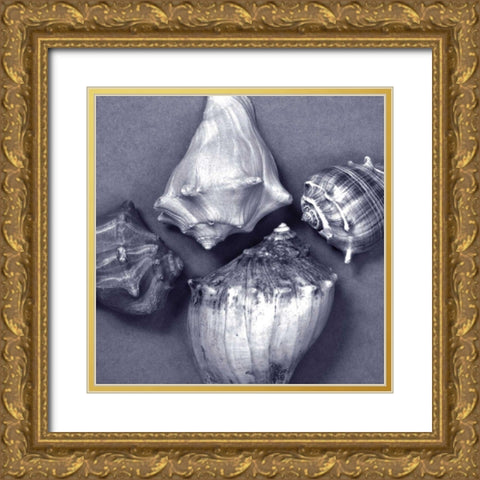 Shell Convergence V Gold Ornate Wood Framed Art Print with Double Matting by Stramel, Renee W.