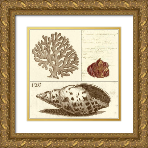Shell Classification III Gold Ornate Wood Framed Art Print with Double Matting by Vision Studio