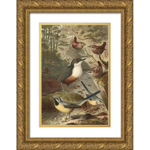 Wagtails and Wrens Gold Ornate Wood Framed Art Print with Double Matting by unknown