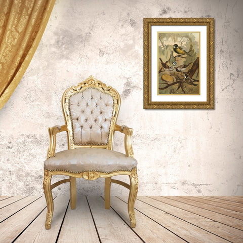 Titmice Gold Ornate Wood Framed Art Print with Double Matting by unknown