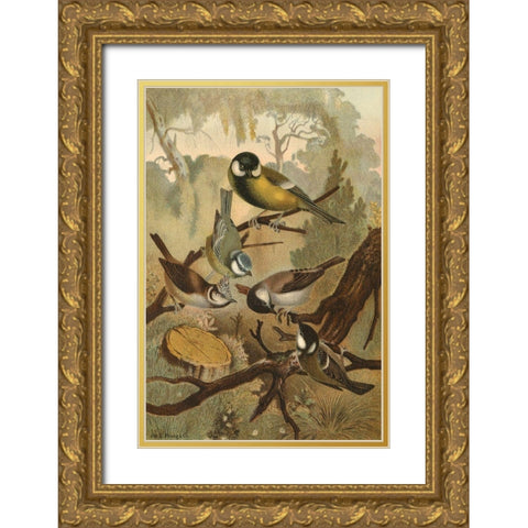 Titmice Gold Ornate Wood Framed Art Print with Double Matting by unknown