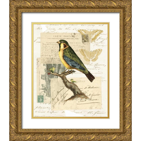 Naturalists Collage III Gold Ornate Wood Framed Art Print with Double Matting by Vision Studio