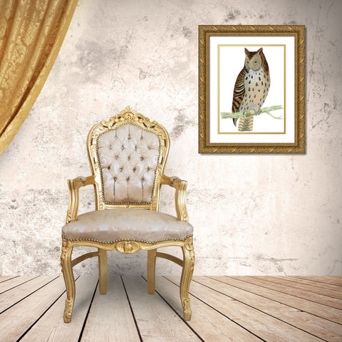 Morris Mottled Owl Gold Ornate Wood Framed Art Print with Double Matting by Morris
