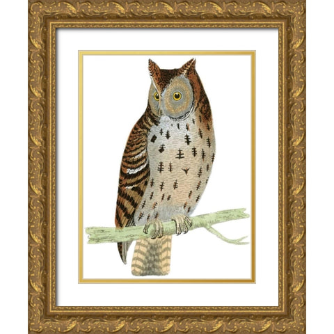 Morris Mottled Owl Gold Ornate Wood Framed Art Print with Double Matting by Morris