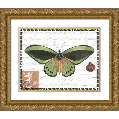 Butterfly Prose II Gold Ornate Wood Framed Art Print with Double Matting by Vision Studio