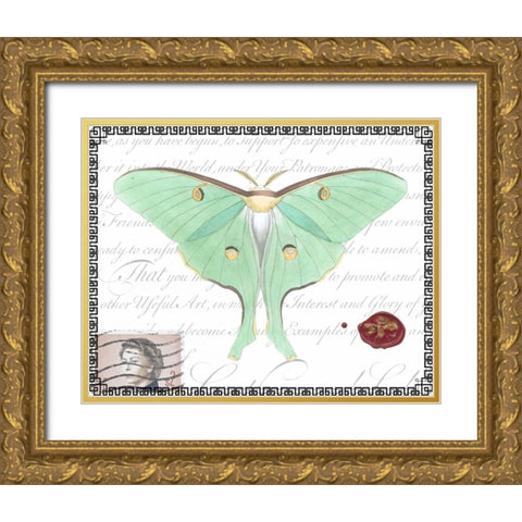 Butterfly Prose VI Gold Ornate Wood Framed Art Print with Double Matting by Vision Studio