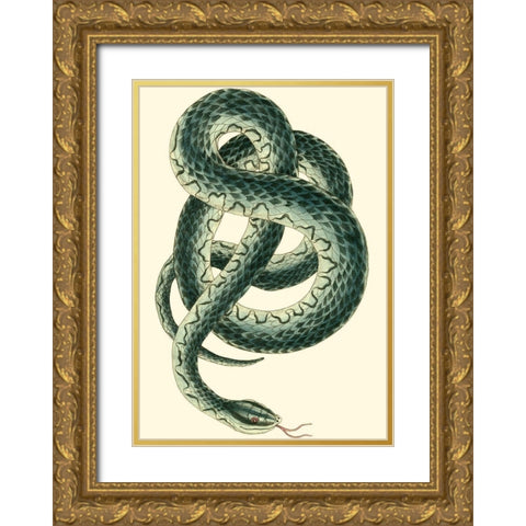 Vibrant Snake III Gold Ornate Wood Framed Art Print with Double Matting by Nodder, Frederick P.