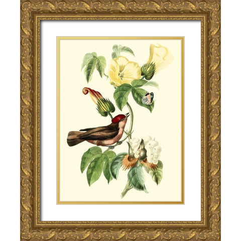 Cuvier Exotic Birds I Gold Ornate Wood Framed Art Print with Double Matting by Cuvier, Georges