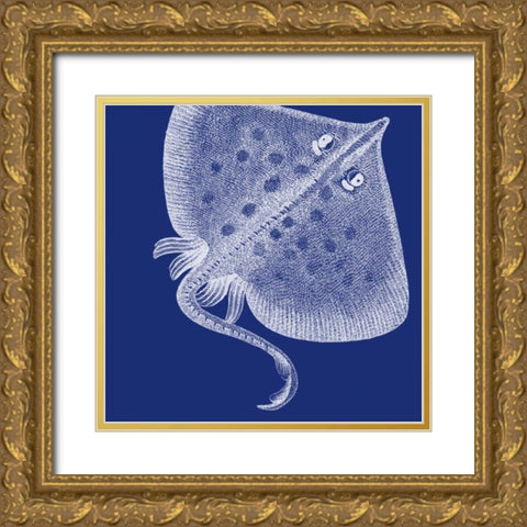 Saturated Sea Life III Gold Ornate Wood Framed Art Print with Double Matting by Vision Studio