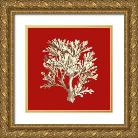 Small Coral on Red IV Gold Ornate Wood Framed Art Print with Double Matting by Vision Studio