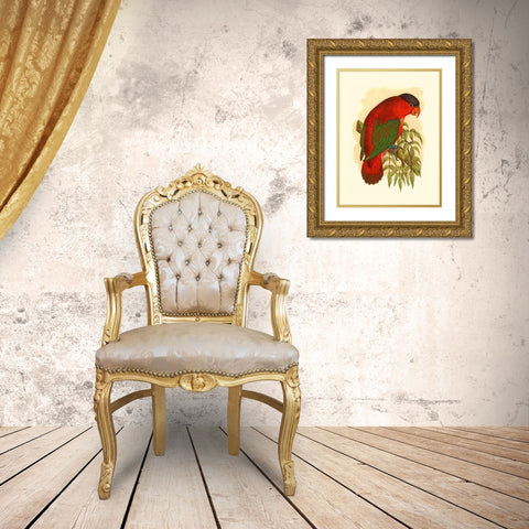 Purple-Capped Lory Gold Ornate Wood Framed Art Print with Double Matting by Unknown