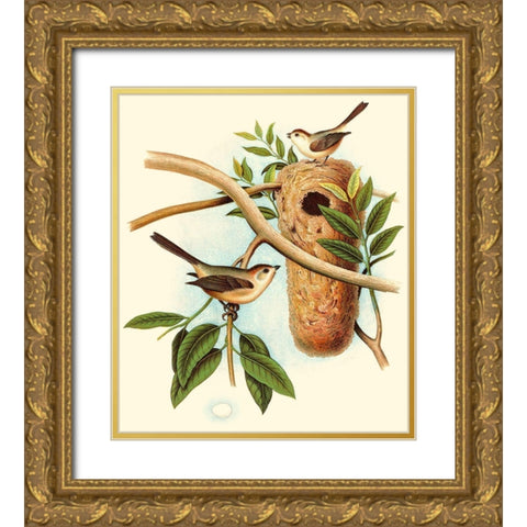 Feathering Nest I Gold Ornate Wood Framed Art Print with Double Matting by Unknown