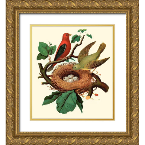 Feathering Nest II Gold Ornate Wood Framed Art Print with Double Matting by Unknown