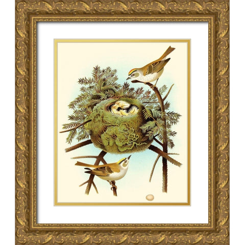 Feathering Nest III Gold Ornate Wood Framed Art Print with Double Matting by Unknown