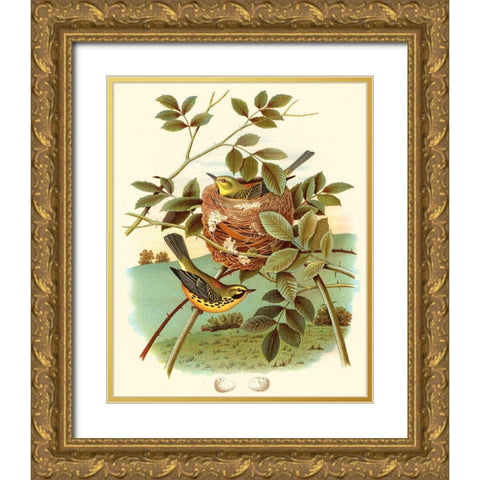 Feathering Nest IV Gold Ornate Wood Framed Art Print with Double Matting by Unknown