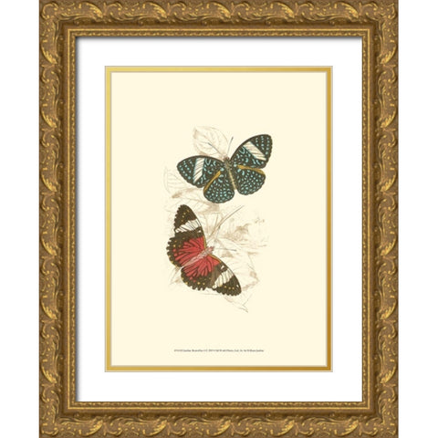 Jardine Butterflies I Gold Ornate Wood Framed Art Print with Double Matting by Jardine, Sir William