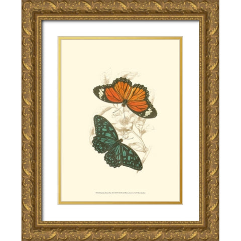 Jardine Butterflies II Gold Ornate Wood Framed Art Print with Double Matting by Jardine, Sir William