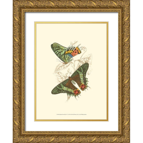 Jardine Butterflies IV Gold Ornate Wood Framed Art Print with Double Matting by Jardine, Sir William