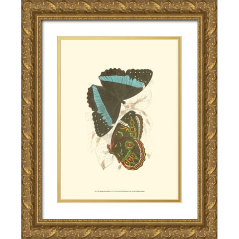 Jardine Butterflies VI Gold Ornate Wood Framed Art Print with Double Matting by Jardine, Sir William
