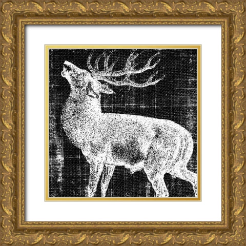 Northwest Territory II Gold Ornate Wood Framed Art Print with Double Matting by Vision Studio