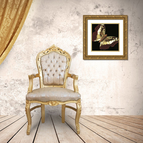 Small Dramatic Butterflies IV Gold Ornate Wood Framed Art Print with Double Matting by Vision Studio