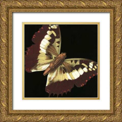 Small Dramatic Butterflies IV Gold Ornate Wood Framed Art Print with Double Matting by Vision Studio