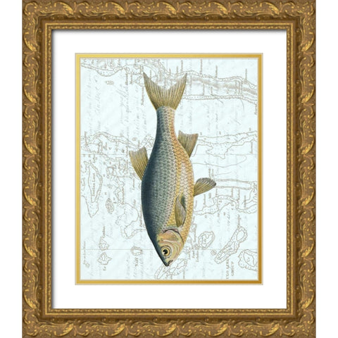 Freshwater II Gold Ornate Wood Framed Art Print with Double Matting by Vision Studio