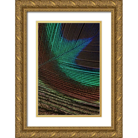 Peacock Feathers I Gold Ornate Wood Framed Art Print with Double Matting by Vision Studio