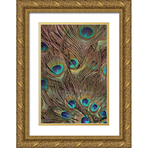 Peacock Feathers III Gold Ornate Wood Framed Art Print with Double Matting by Vision Studio