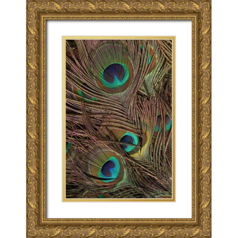 Peacock Feathers IV Gold Ornate Wood Framed Art Print with Double Matting by Vision Studio