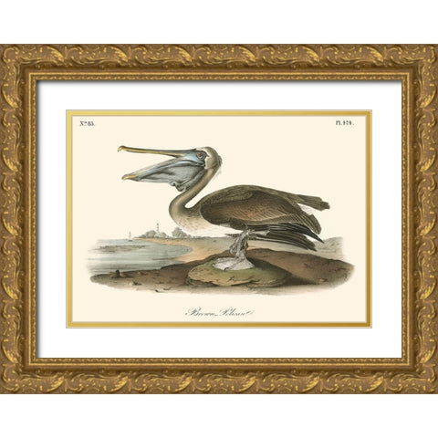 Brown Pelican Gold Ornate Wood Framed Art Print with Double Matting by Audubon, John James