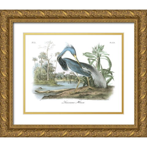 Louisiana Heron Gold Ornate Wood Framed Art Print with Double Matting by Audubon, John James