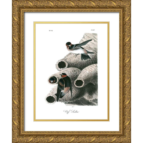 Cliff Swallow Gold Ornate Wood Framed Art Print with Double Matting by Audubon, John James