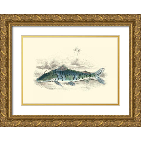 Lizars Game Fish II Gold Ornate Wood Framed Art Print with Double Matting by Lizars, W.H.