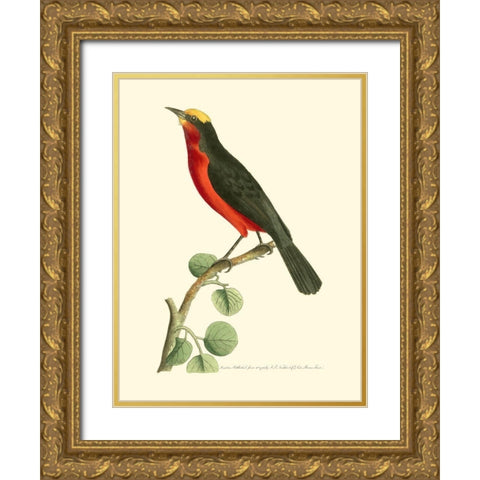 Crimson Birds II Gold Ornate Wood Framed Art Print with Double Matting by Nodder, Frederick P.
