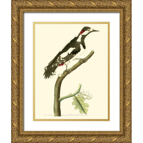 Crimson Birds V Gold Ornate Wood Framed Art Print with Double Matting by Nodder, Frederick P.