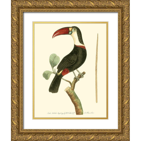 Crimson Birds VI Gold Ornate Wood Framed Art Print with Double Matting by Nodder, Frederick P.