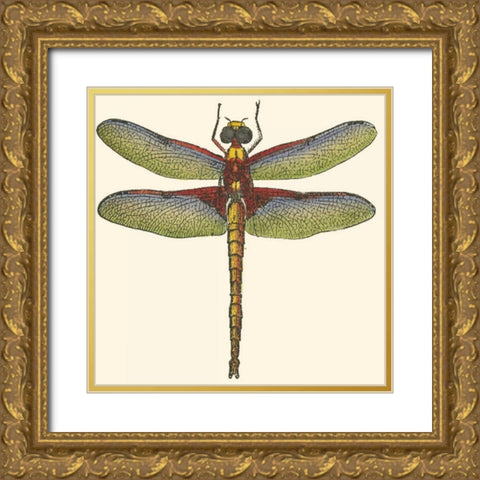 Miniature Dragonfly IV Gold Ornate Wood Framed Art Print with Double Matting by Vision Studio