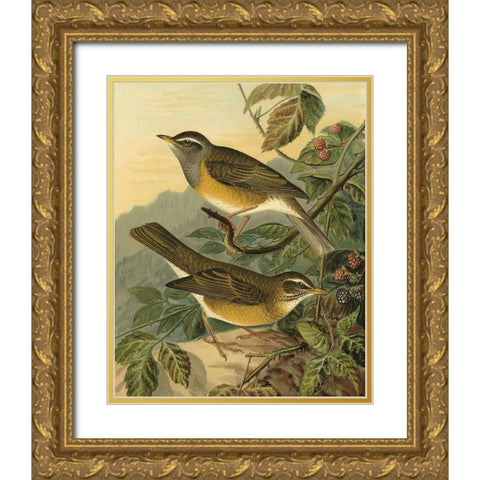 Small Woodland Birds III Gold Ornate Wood Framed Art Print with Double Matting by Vision Studio